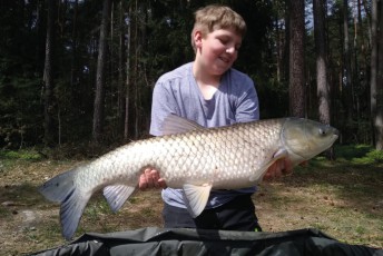 Krummer Weiher