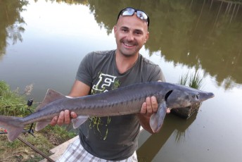 Krummer Weiher