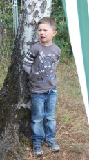 Erwachsenenkönigsfischen 2016