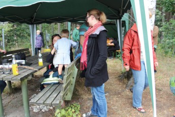 Erwachsenenkönigsfischen 2016