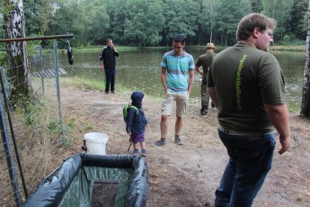 Erwachsenenkönigsfischen 2016